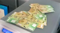 लाइसेन्स