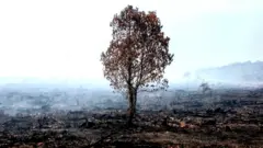 காலநிலை மாற்றம்