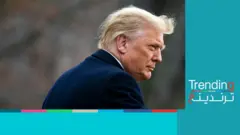 الرئيس الأمريكي دونالد ترامب