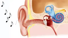 Eserese ntị mmadụ