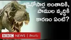 డైనోసార్