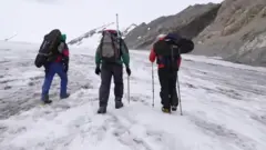 Музликларни ўрганаётган олимлар