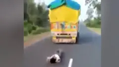 मध्य प्रदेश