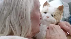 roboticka macka marmelada u domu za stare