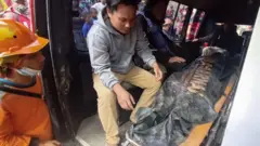 tambang, longsor