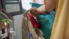 World Kidney Day