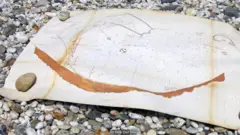 A reprodução de um mapa de Table Bay dos anos 1650 inclui a localização do naufrágio do navio holandês