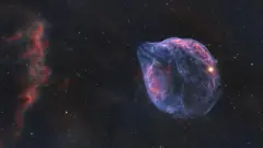 Туманность Голова Дельфина