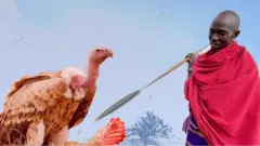 tai