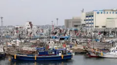 제주 성산항에 태풍을 피해 정박한 어선들