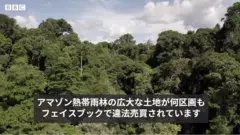 amazon
