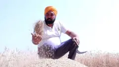 ਕੁਲਦੀਪ ਸਿੰਘ ਆਖਦਾ ਹੈ ਕਿ ਜਿਸ ਕਿਸਾਨ ਦਾ ਪਿਛਲੇ ਸਾਲ ਦੇ ਮੁਕਾਬਲੇ ਚਾਰ ਕਵਿੰਟਲ ਪ੍ਰਤੀ ਏਕੜ ਝਾੜ ਘੱਟ ਗਿਆ ਹੈ