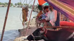 पाकिस्तान में बाढ़