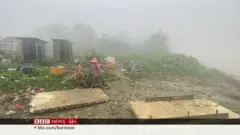 ပလုံကောက်သူတွေ အကြောင်း