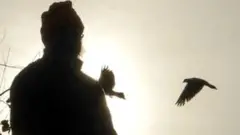ਕੋਰੋਨਾਵਾਇਰਸ