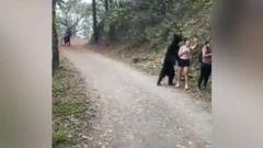 भालु