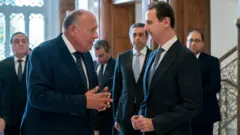 بشار الأسد وسامح شكري