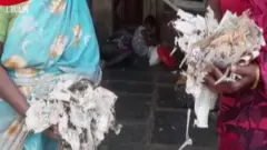 दीमक