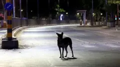 ગુજરાત
