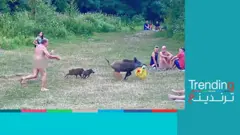 رجل عار يطارد خنزيرا في ألمانيا