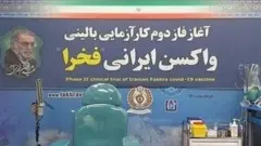 مدیر طرح تولید واکسن فخرا گفته است که دولت به آن ۱۰ میلیون یورو داده بوده