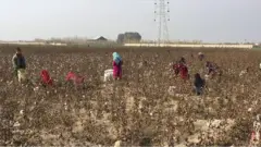 بلخ