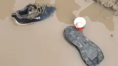 लखीमपुर खीरी