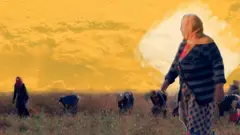 BBCArabicXtraTV