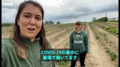 「アスパラの幻覚が……」　新型ウイルスで失職し初めて農場で働いたら