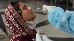 मुंबई: कोरोना रुग्णवाढीचा कर्व्ह सपाट दिसून येण्याची कारणं काय आहेत?
