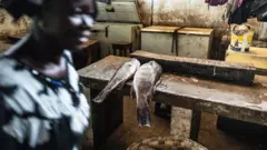 Cette femme s'est rendue dans un marché de poisson en Gambie