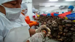 Trabajadores
