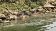 બિહારના બક્સરમાં નદીમાં તરતા મૃતદેહો