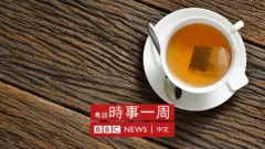 記者來鴻