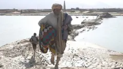 دشت میں سیلاب