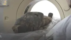 Oku Aboyun ọlọjọ pipẹ