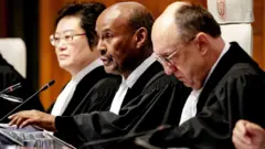 আন্তর্জাতিক বিচার আদালতের প্রেসিডেন্ট আবদুলকাবি আহমেদ ইউসুফ (মাঝে) অন্তর্বর্তীকালীন আদেশ দিচ্ছেন।