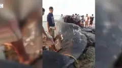मछली