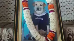 राजस्थान