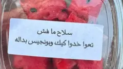  صور متداولة لبطيخ وكاسترد تحمل شعارات سياسية... بين السخرية والرمزية، النقاش مستمر.
