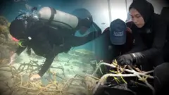 Para perempuan muda 'tukang kebun bawah laut' di Selat Makassar
