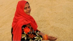 వ్యవసాయం