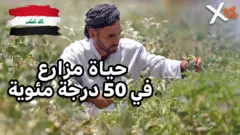 التغير المناخي