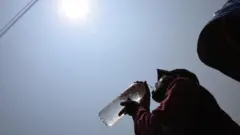 तातो हावा