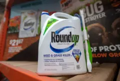 Monsanto criou o Roundup, à base de glifosato