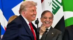 شہباز شریف، ٹرمپ