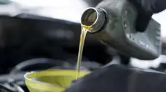 ओपेकच्या निर्णयानं पेट्रोलियम पदार्थांच्या किंमतीवर काय परिणाम होईल?