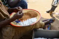 Les substances psychoactives sont introduites dans les établissements scolaires au Togo