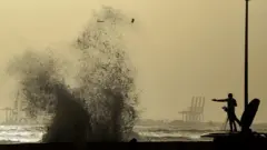 અલ નીનો