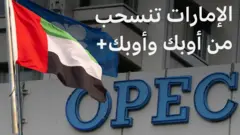 الإمارات وأوبك وأوبك بلس